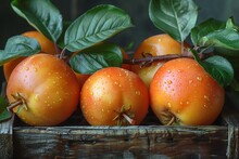 a group of orange apples with green leaves