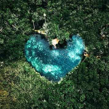 a heart shaped pool surrounded by trees