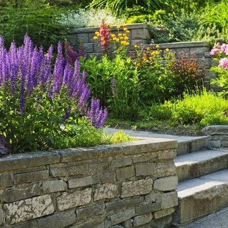 a stone steps leading to a garden