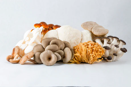 a group of mushrooms on a white surface