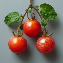 a group of red tomatoes with green leaves